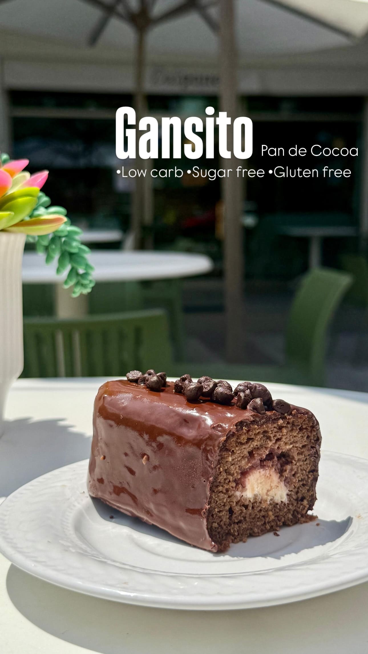 Gansito pan de cocoa